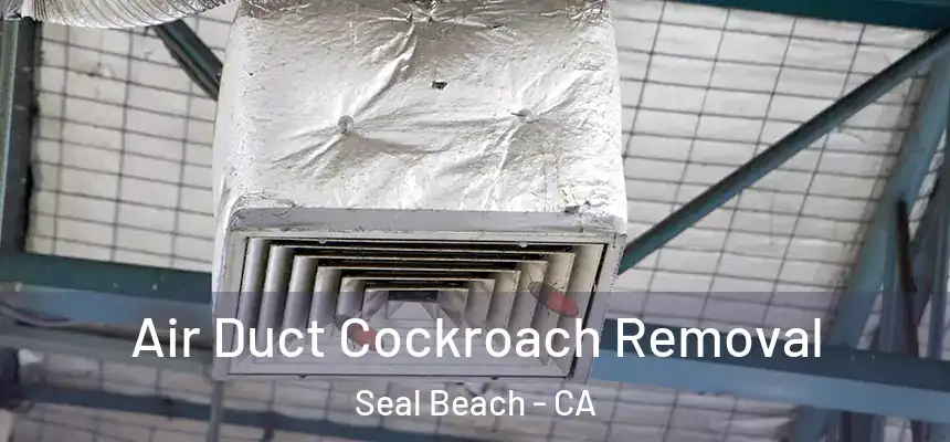  Air Duct Cockroach Removal Seal Beach - CA