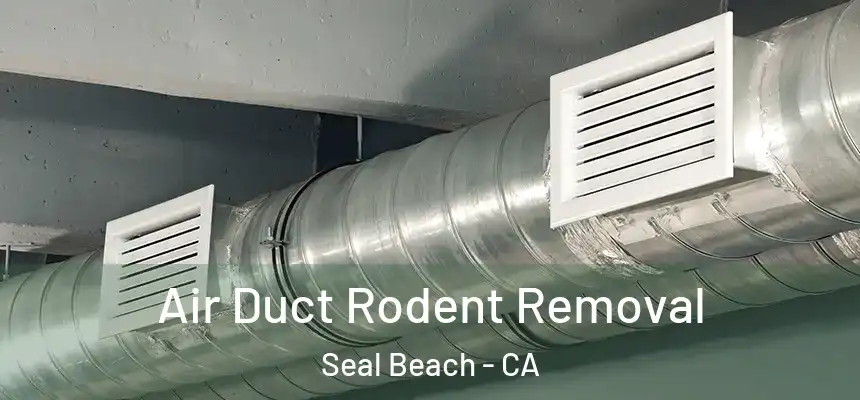  Air Duct Rodent Removal Seal Beach - CA