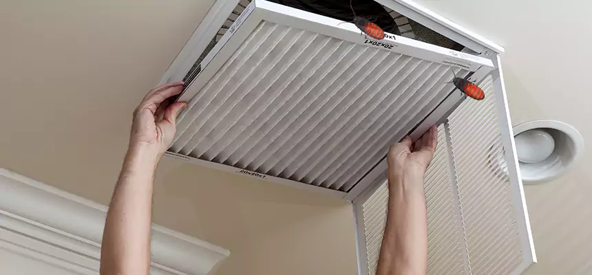 Preventive Cockroach-Proofing for Ducts in Seal Beach