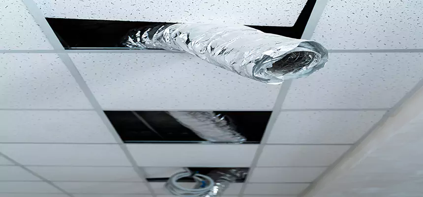 Affordable HVAC Sanitizing After Pest Removal in Seal Beach