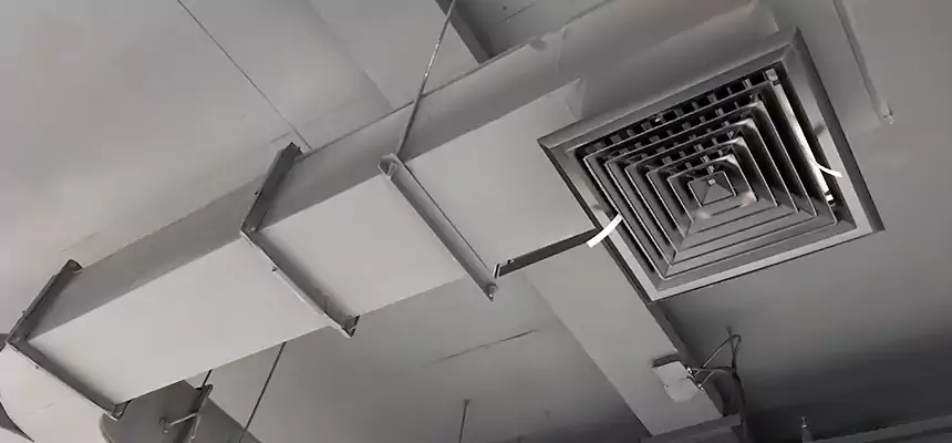 Restorative Allergy Relief Vent Cleaning – Coil, Blower & Housing Detail in Seal Beach