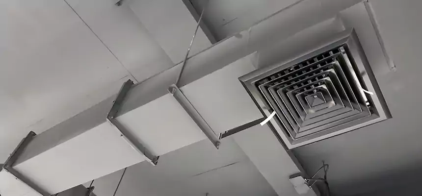 Our Rodent Droppings In Vents Services in Seal Beach, CA