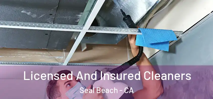  Licensed And Insured Cleaners Seal Beach - CA