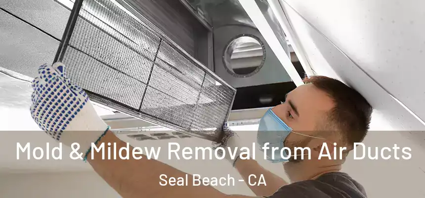  Mold & Mildew Removal from Air Ducts Seal Beach - CA