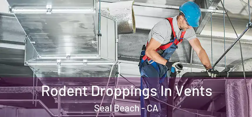  Rodent Droppings In Vents Seal Beach - CA