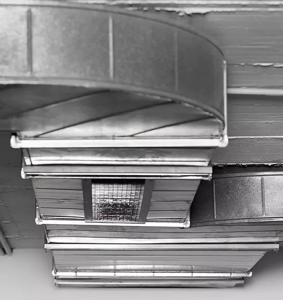 Professional Air Duct Pest Removal in Seal Beach, CA