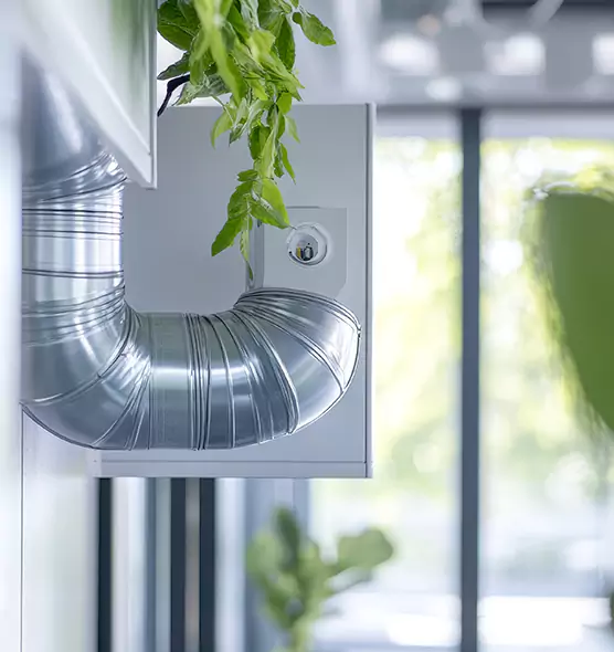 Professional Eco-Friendly Duct Cleaning Services in Seal Beach, CA