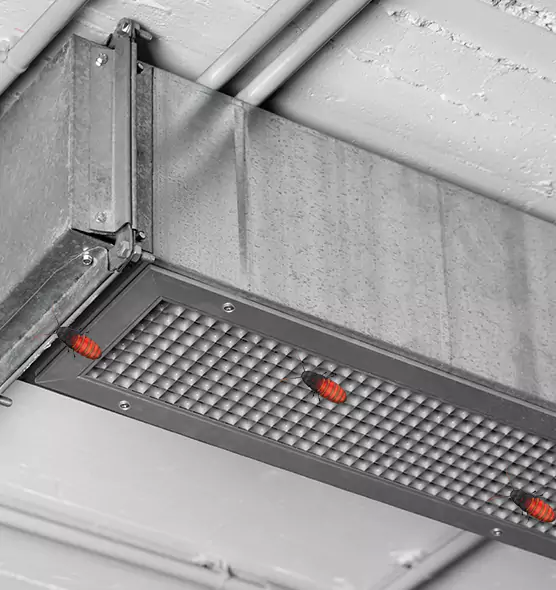 Affordable Insect Removal from Air Ducts in Seal Beach, CA