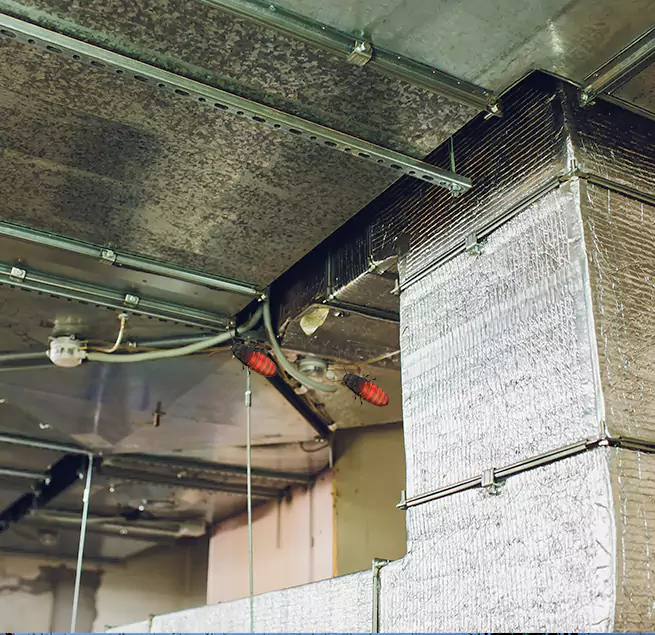 Why Homeowners & Businesses Trust Us in Seal Beach, CA?