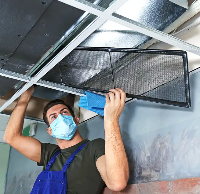 Why Homeowners & Businesses Trust Us in Seal Beach, CA?