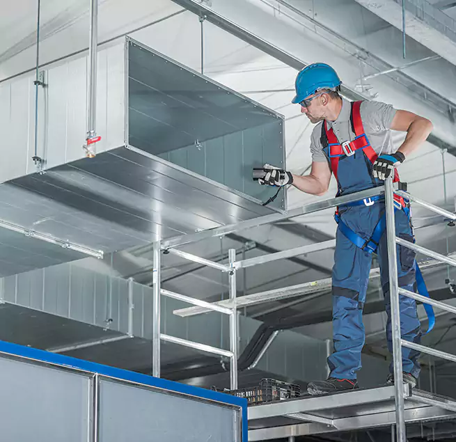 Why Homeowners & Businesses Trust Us in Seal Beach, CA?