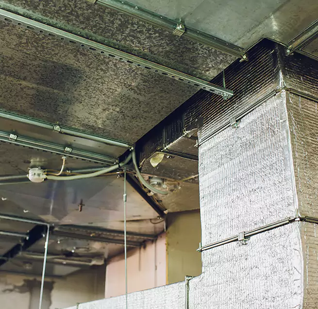 Why Homeowners & Businesses Trust Us in Seal Beach, CA?