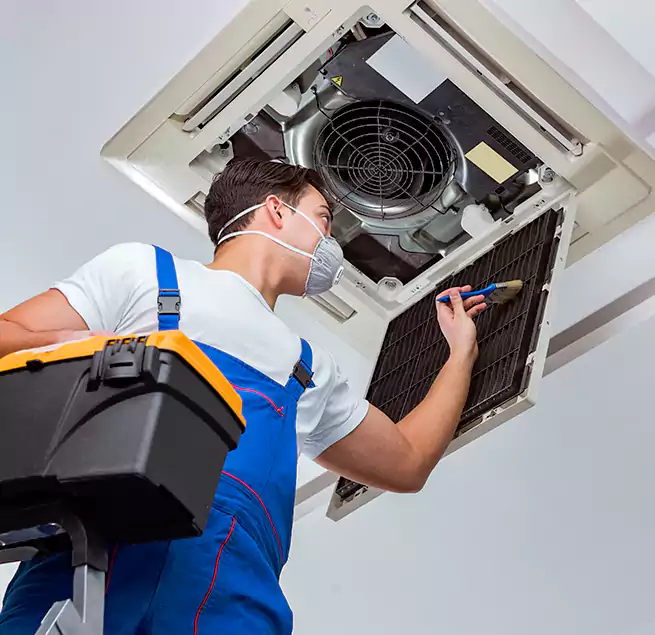 Why Homeowners & Businesses Trust Us in Seal Beach, CA?